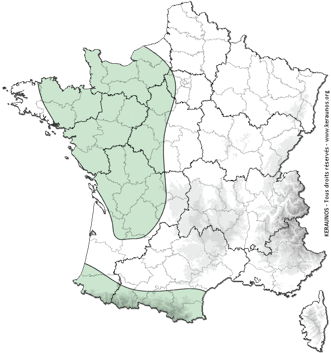 Carte de probabilité d'orage
