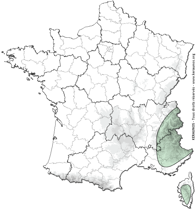 Carte de probabilité d'orage