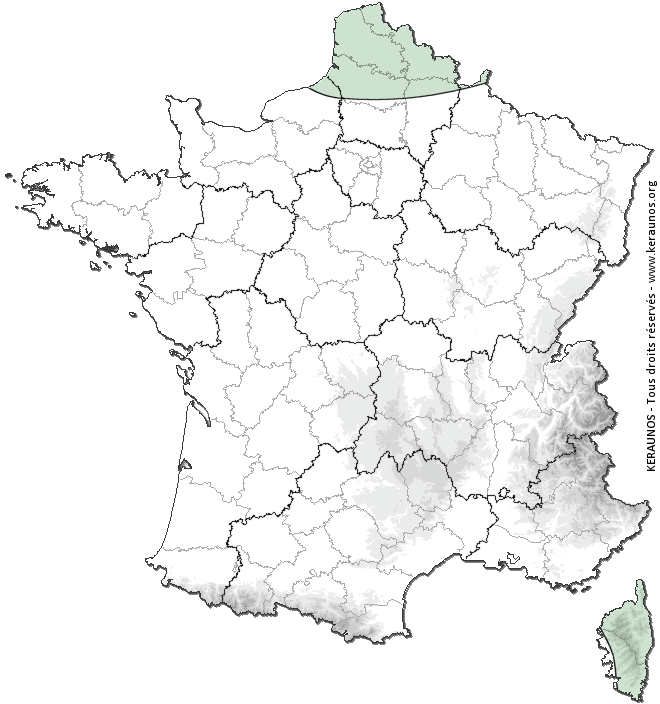 Carte de probabilité d'orage