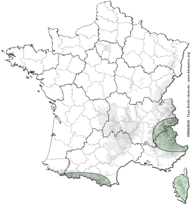 Carte de probabilité d'orage