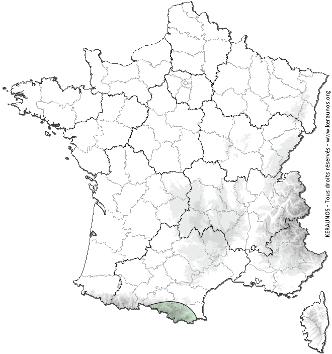 Carte de probabilité d'orage