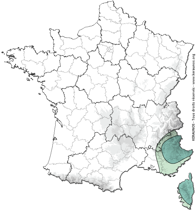 Carte de probabilité d'orage