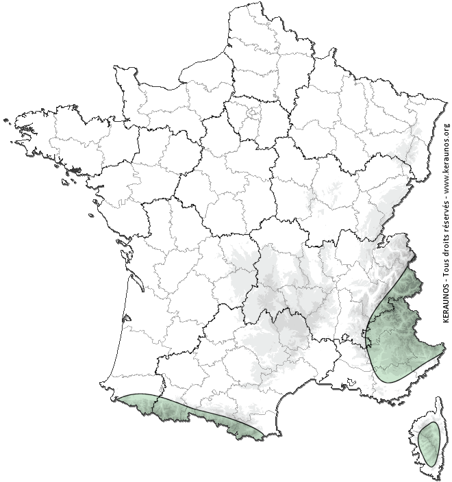 Carte de probabilité d'orage