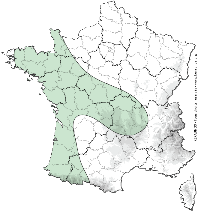 Carte de probabilité d'orage
