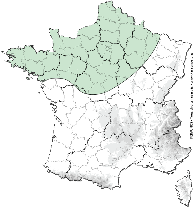 Carte de probabilité d'orage