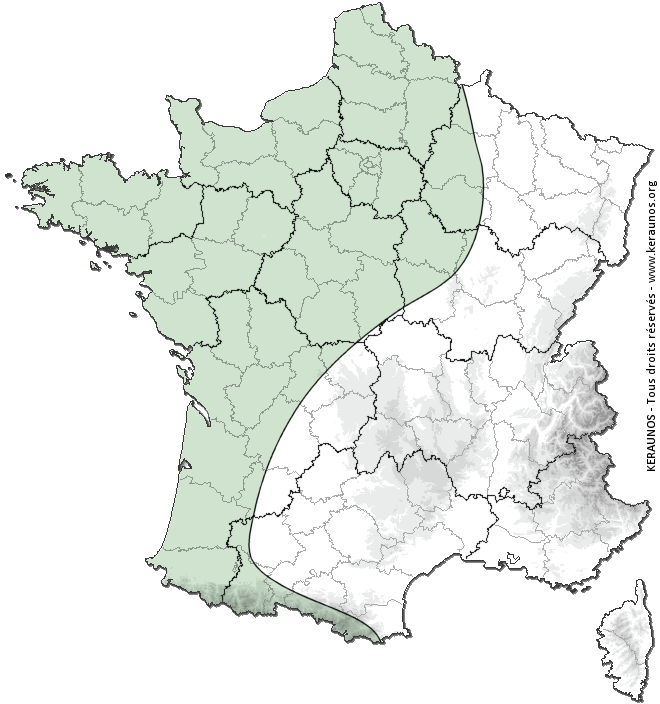 Carte de probabilité d'orage
