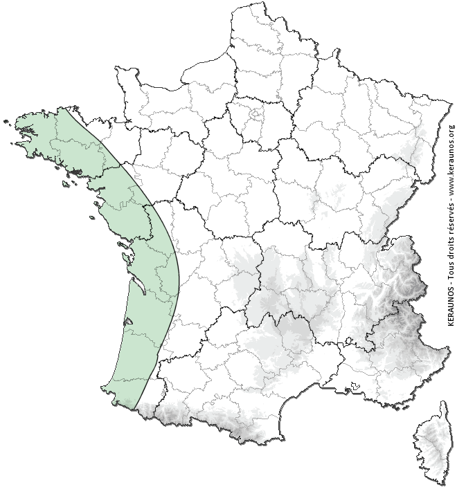 Carte de probabilité d'orage