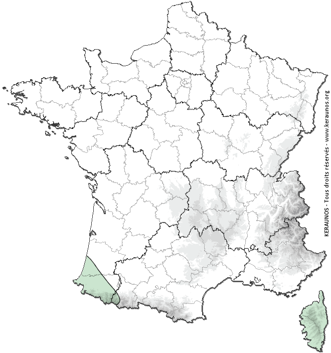 Carte de probabilité d'orage