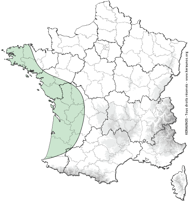 Carte de probabilité d'orage