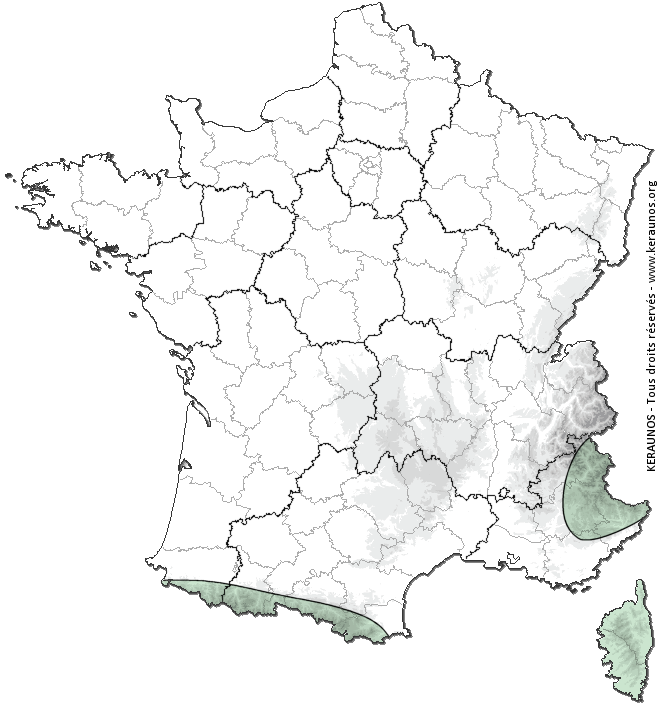 Carte de probabilité d'orage