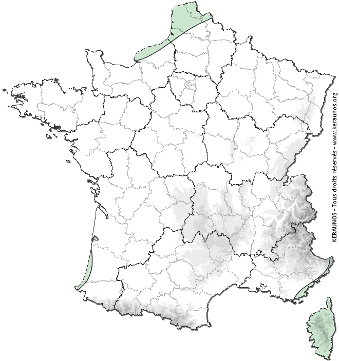 Carte de probabilité d'orage