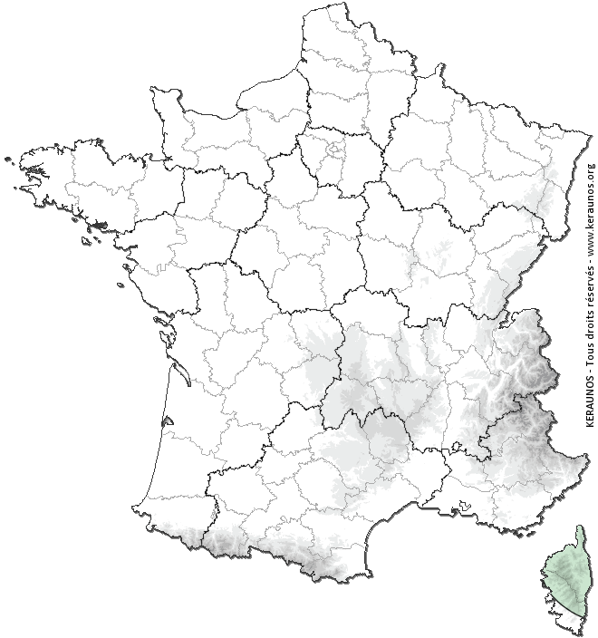 Carte de probabilité d'orage