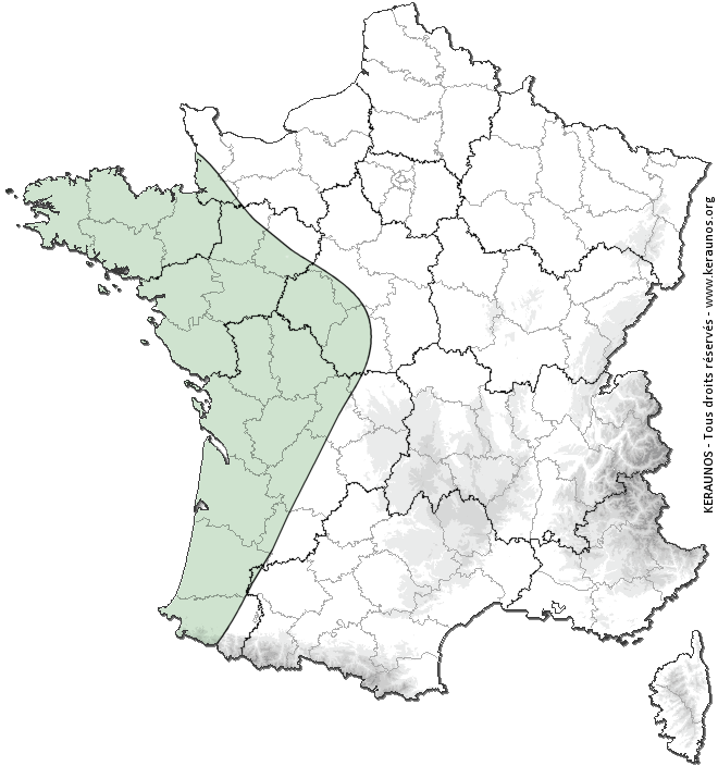Carte de probabilité d'orage