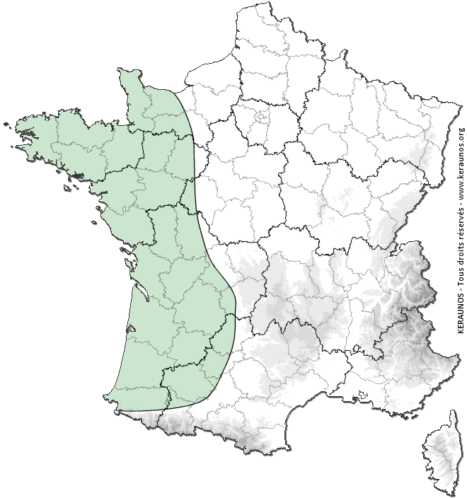 Carte de probabilité d'orage