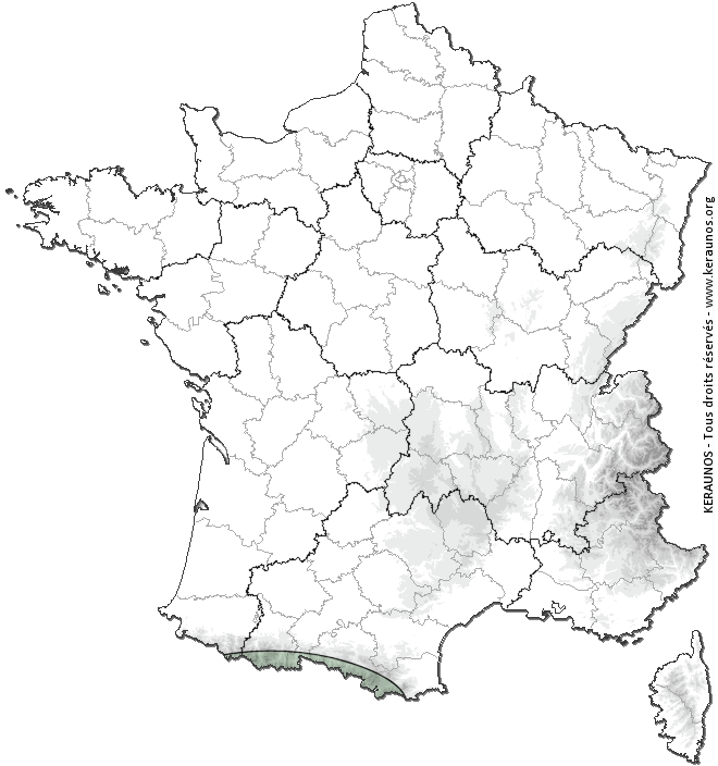 Carte de probabilité d'orage