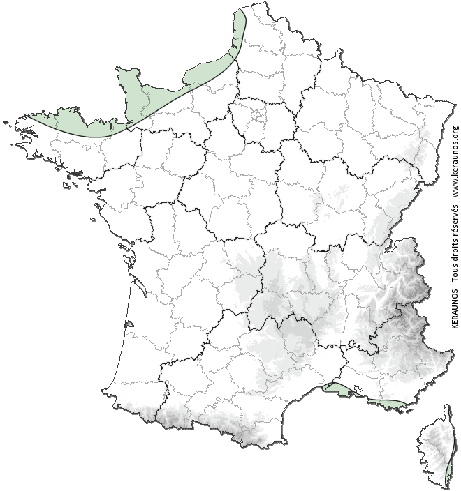 Carte de probabilité de tornade