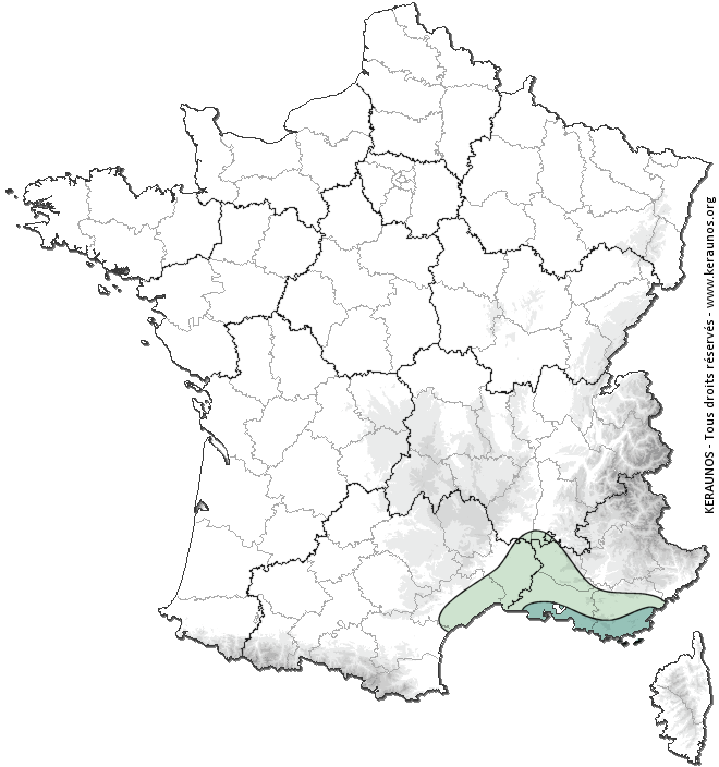 Carte de probabilité de tornade