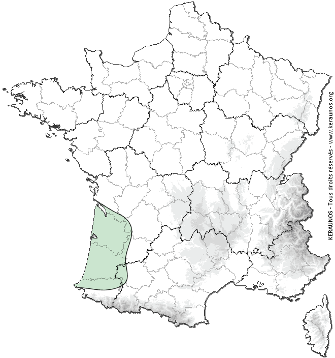 Carte de probabilité de tornade