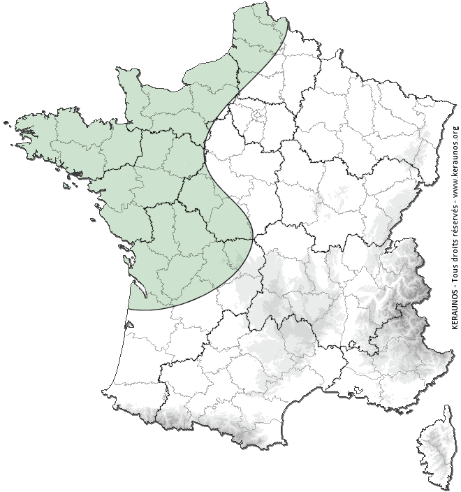 Carte de probabilité de tornade