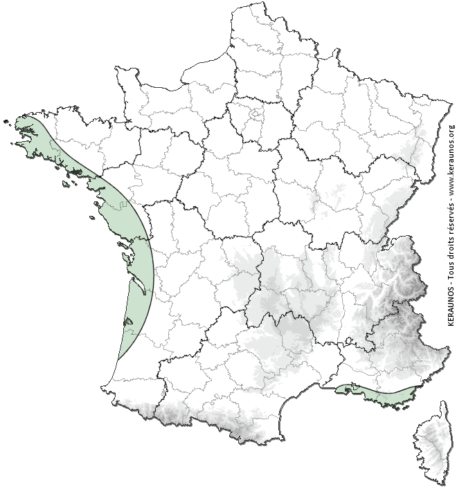 Carte de probabilité de tornade