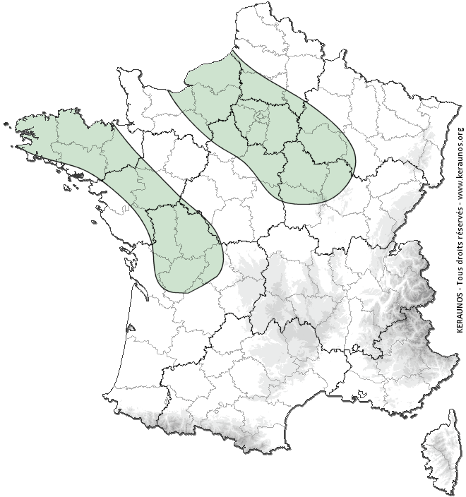 Carte de probabilité de tornade