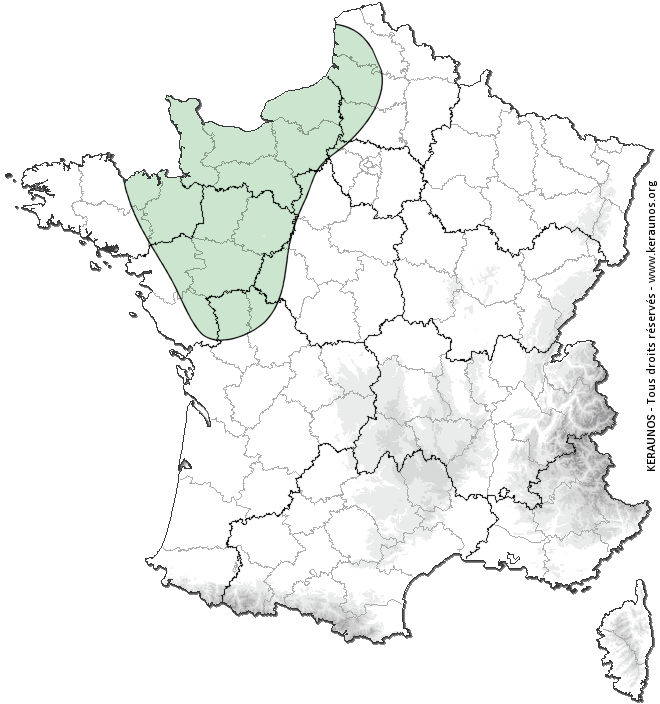 Carte de probabilité de tornade