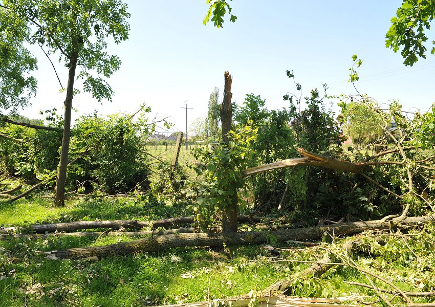 Base de données vent violent