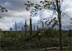 Série de macrorafales (derecho) entre Bourgogne, Lorraine et Benelux le 16 septembre 2015