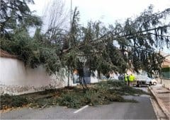 Violente tempête de sud sur Pyrénées et centre-est, épisode pluvio-orageux sur Provence et Corse le 20 décembre