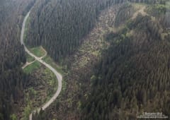 Journal convectif du 19 mai 2015