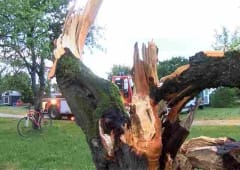 Journal convectif du 30 mai 2015