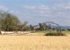 Macrorafale en Limagne brivadoise (Haute-Loire) le 18 juillet 2015
