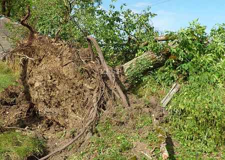 Microrafale d'intensité modérée (D2) à Oigney (Haute-Saône) le 18 juillet 2015