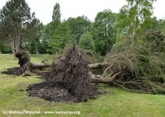 Microrafale à Poigny-la-Forêt (Yvelines) le 21 mai 2014