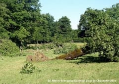 Microrafales entre Cherves-Châtelars et la Péruse (Charente) le 21 mai 2014