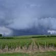 Des dégâts liés aux rafales de vent sous les orages du jeudi 13 juin 2013