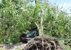 Des orages localement virulents balaient l'ouest de la France le 11 juin