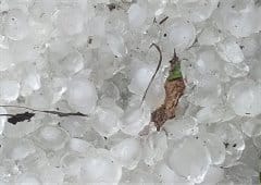 Orages peu organisés mais parfois forts des reliefs de l'est au centre-ouest le 31 mai