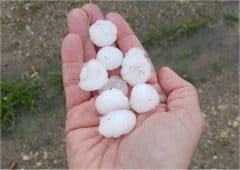 Orages forts entre Champagne et Lorraine avec grêle et multiples phénomènes venteux virulents le 29 avril