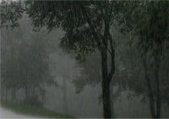 Forts cumuls de pluie très localisés entre Aude et nord-ouest Hérault le 9 octobre