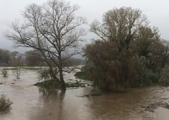 Episode pluvio-orageux en Corse les 19 et 20 décembre