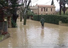 Fortes pluies orageuses et crues entre Pyrénées-Orientales, Aude et Hérault les 27 et 28 janvier
