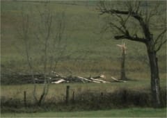 Phénomène venteux destructeur dans le Lot (46) le matin du 4 janvier