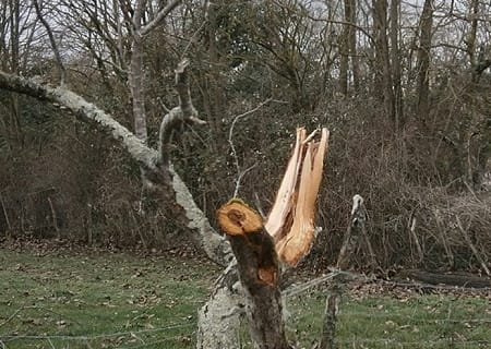 Macrorafale à Loubressac (Lot) le 4 janvier 2016