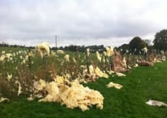 Tornade EF1 à Landouzy-la-Cour (Aisne) le 20 octobre 2013