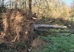 Tornade EF1 à Ardin (Deux-Sèvres) le 28 décembre 2020