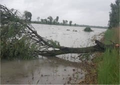 Tornade EF0 à Arles (Bouches-du-Rhône) le 27 avril 2015