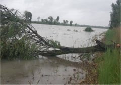 Tornade EF0 à Arles (Bouches-du-Rhône) le 27 avril 2015