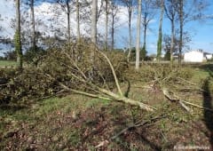 Tornade EF1 à Arvert (Charente-Maritime) le 3 novembre 2014