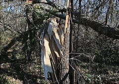 Tornade EF1 à Breuillet (Charente-Maritime) le 28 février 2014